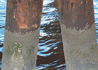 Baltoflake - 玻璃鳞片聚酯漆